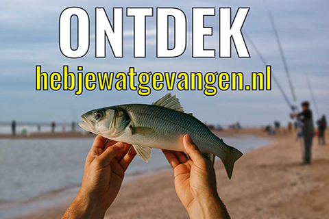 wedstrijdvissen